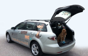 Keglodog-Mobil - unser Service-Ersatzwagen für Hundebesitzer*innen